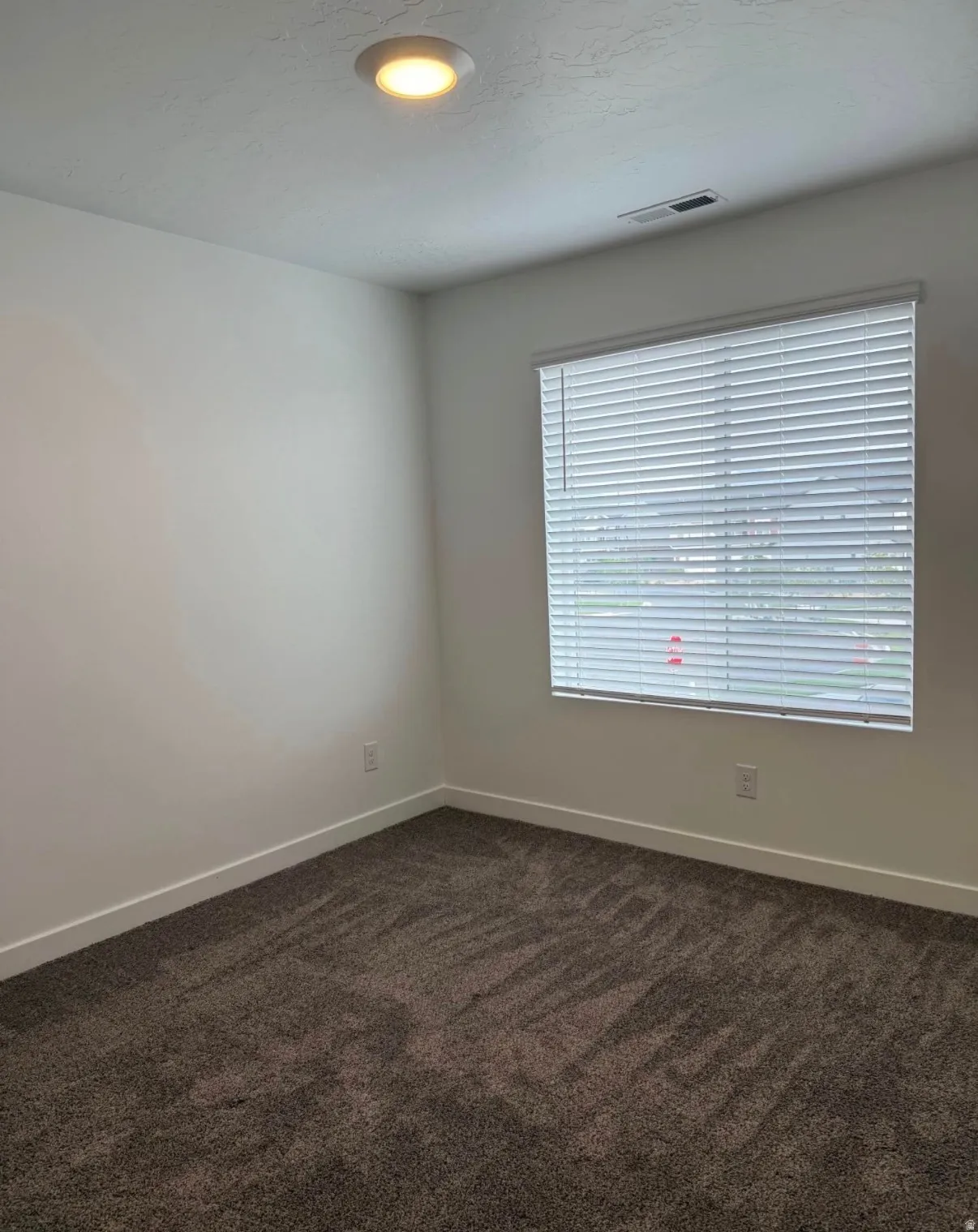 Recessed ceiling light, broad window with blinds, white walls, and textured carpeting