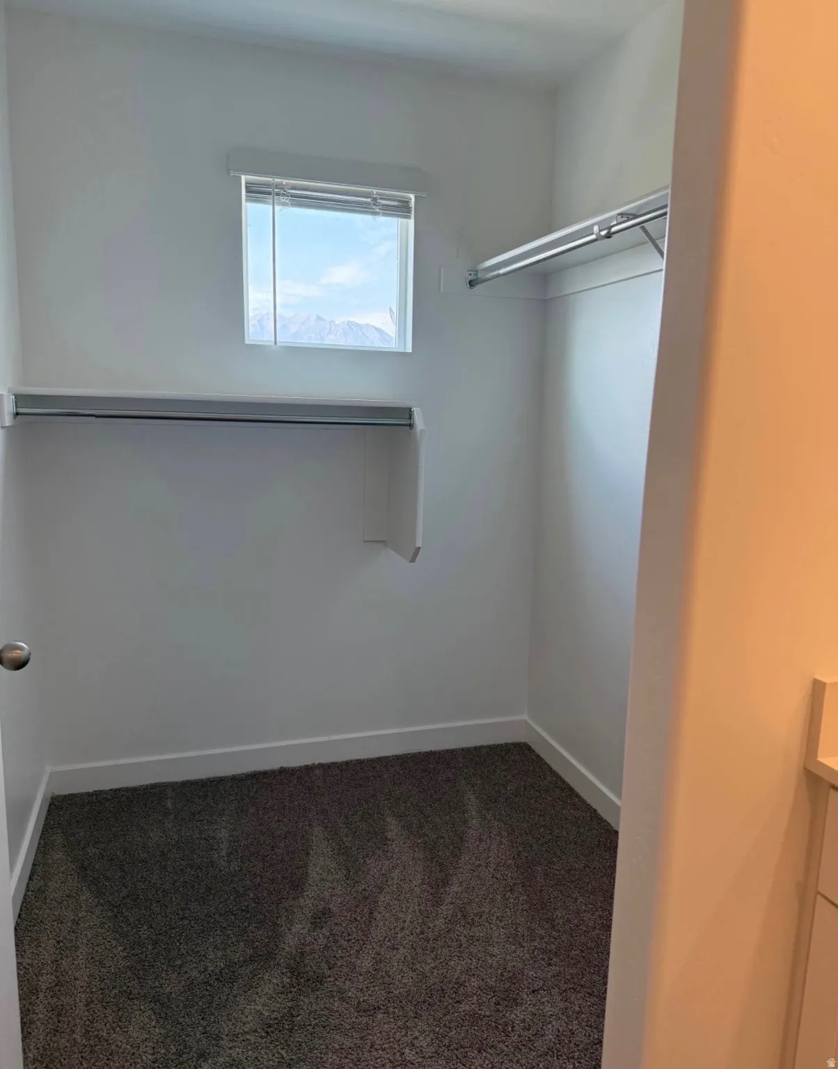 Walk-in closet featuring carpet flooring, built-in shelving, and a window for natural light