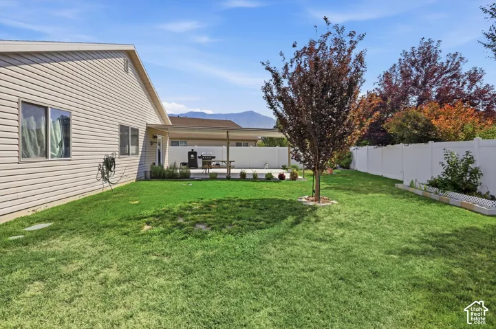 Manicured lawn with a mature tree, privacy fencing, and a covered patio area