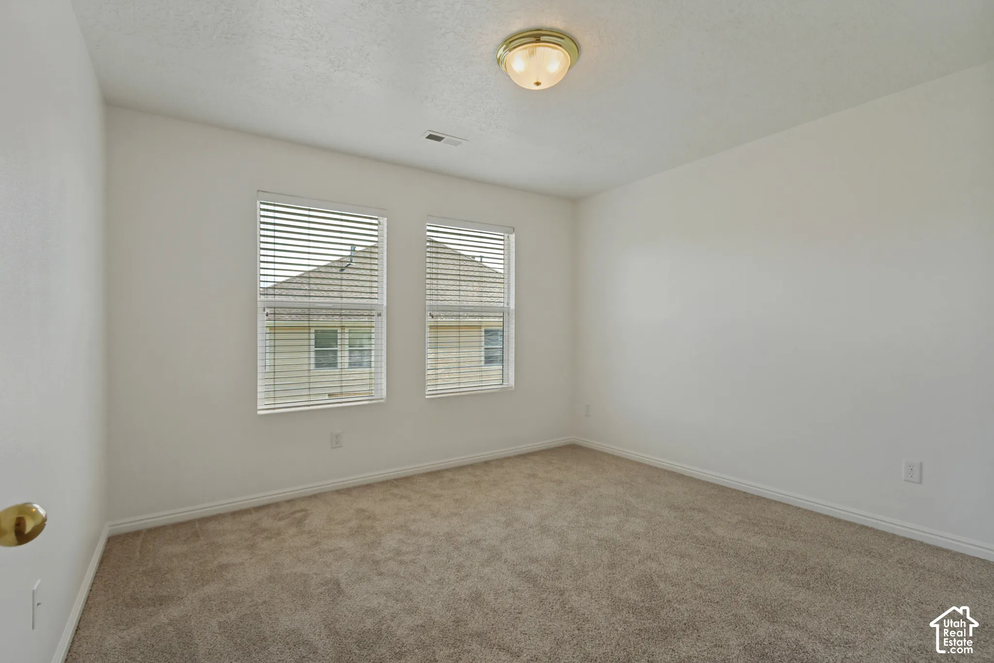 Neutral tone wall finishes, two windows with blinds, carpeted flooring, and a flush mount ceiling light