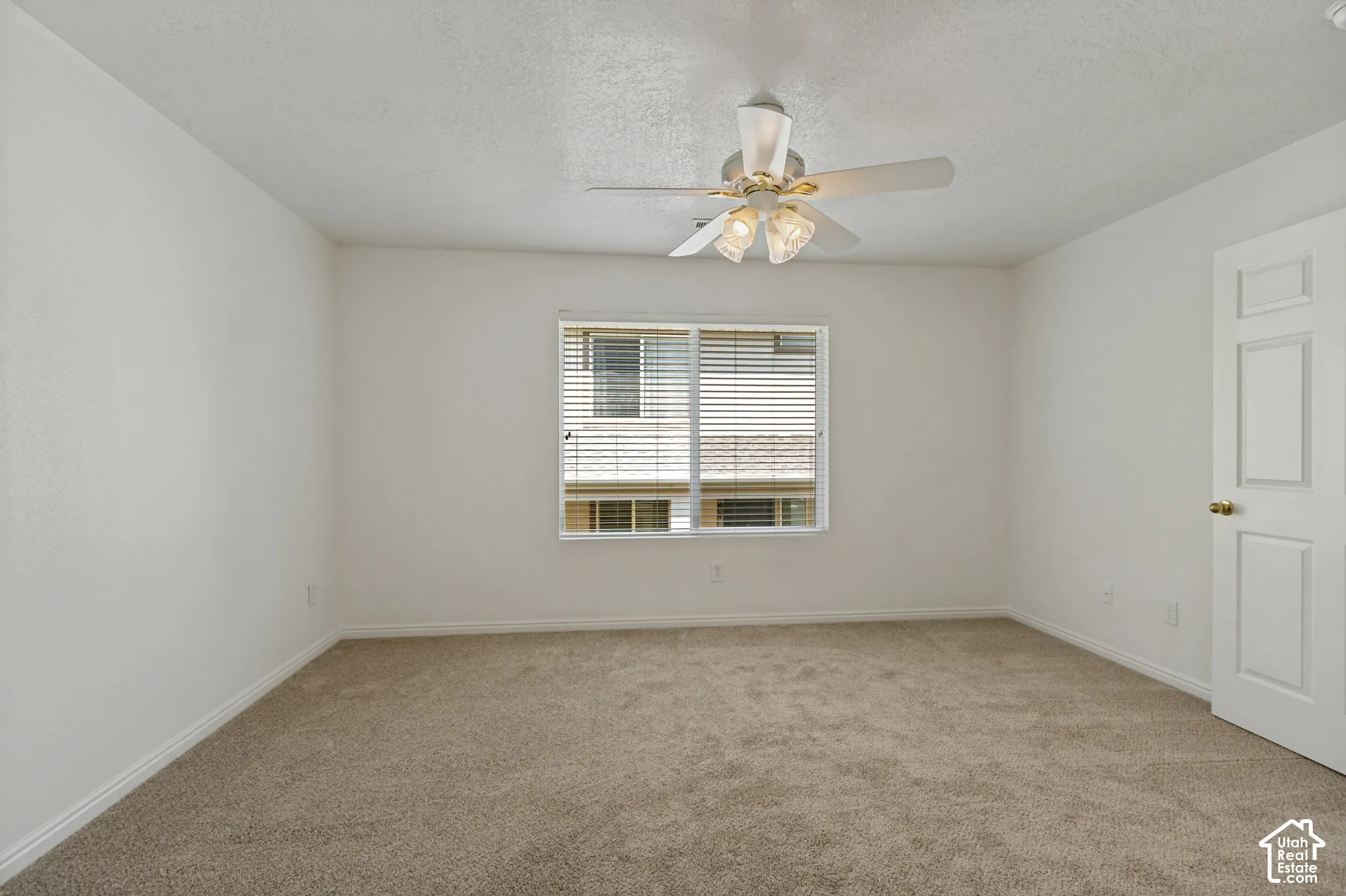 Neutral wall paint, plush carpet, window with horizontal blinds, overhead ceiling fan with lighting, and white paneled door
