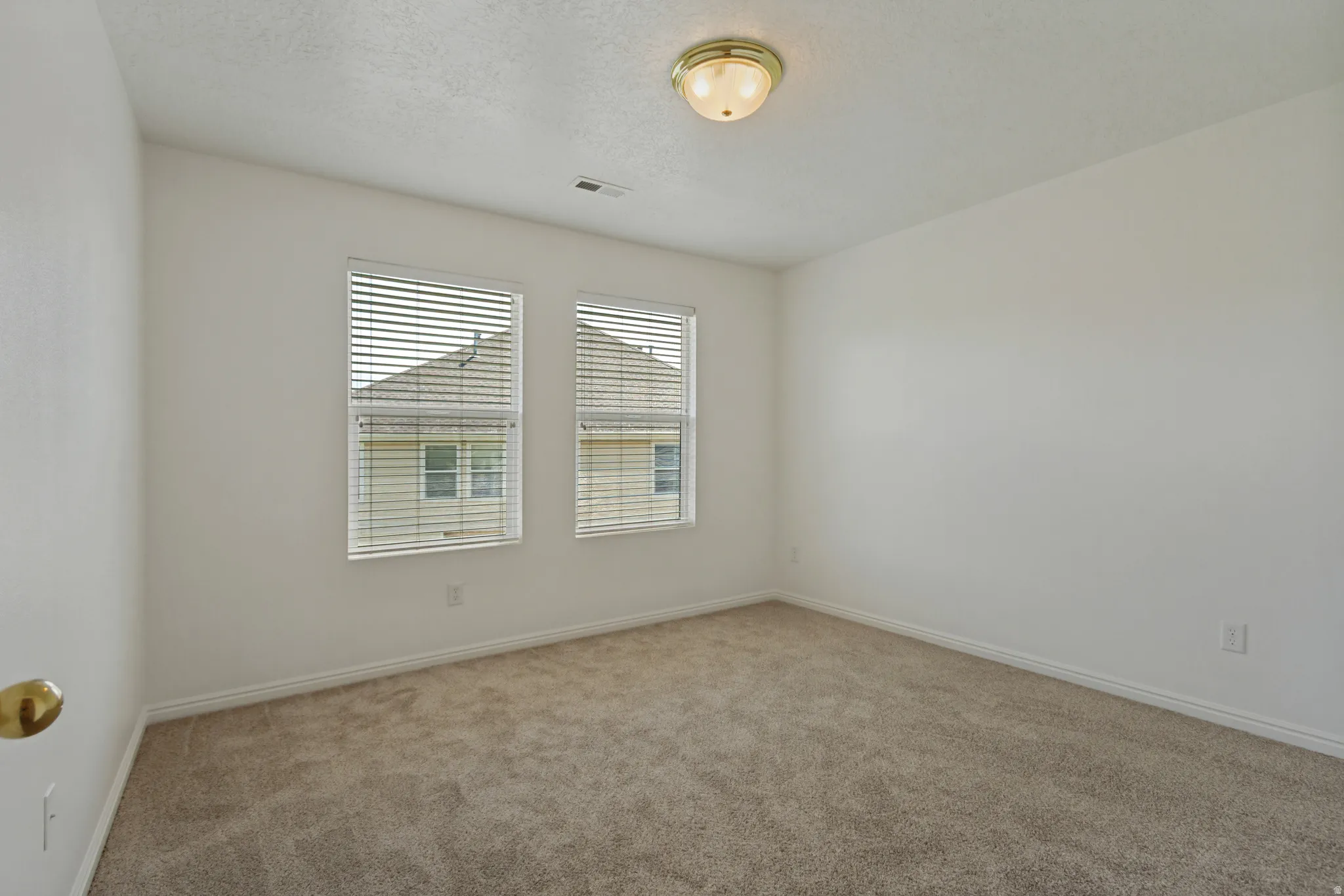 Neutral tone wall finishes, two windows with blinds, carpeted flooring, and a flush mount ceiling light