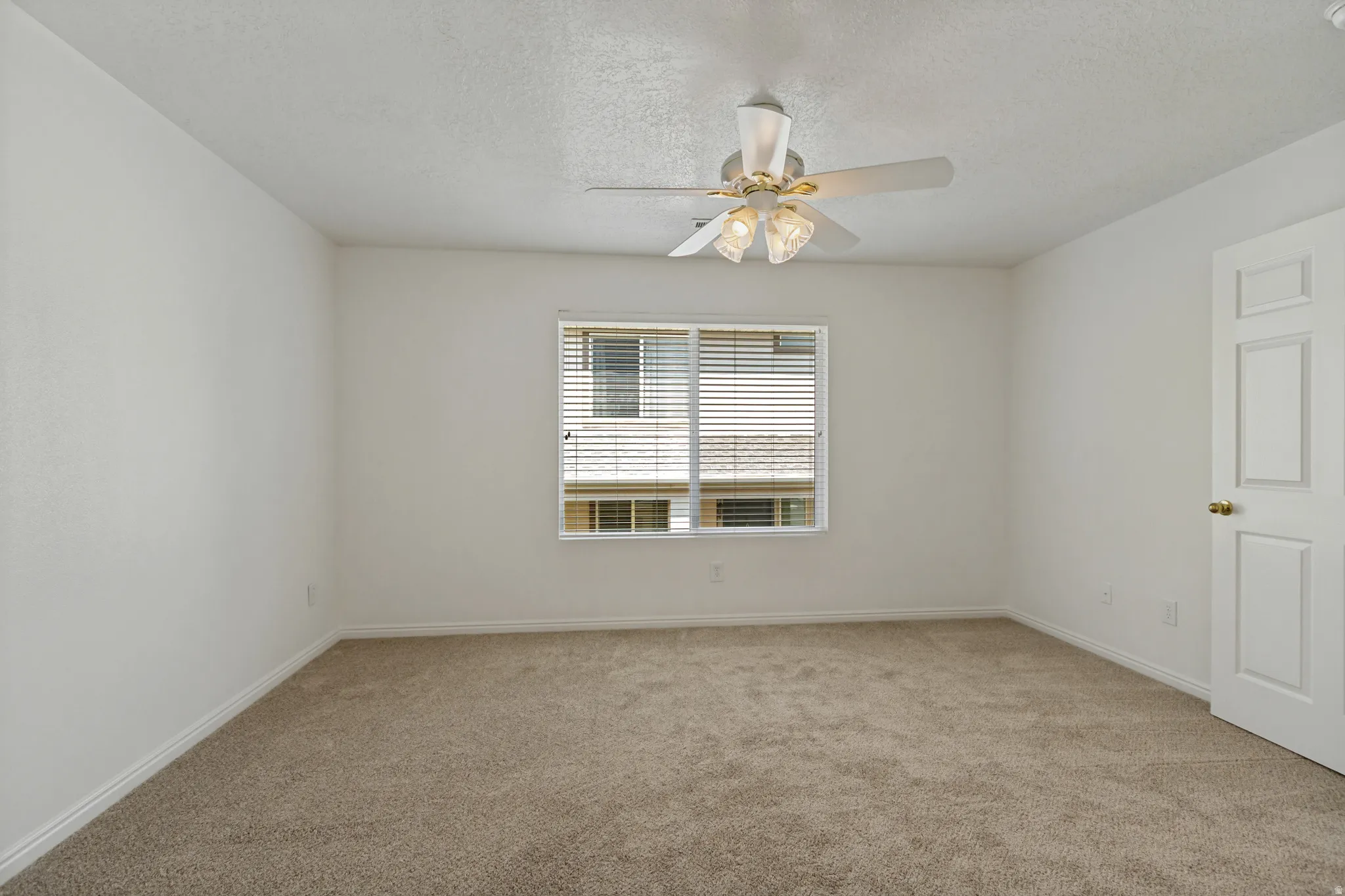 Neutral wall paint, plush carpet, window with horizontal blinds, overhead ceiling fan with lighting, and white paneled door