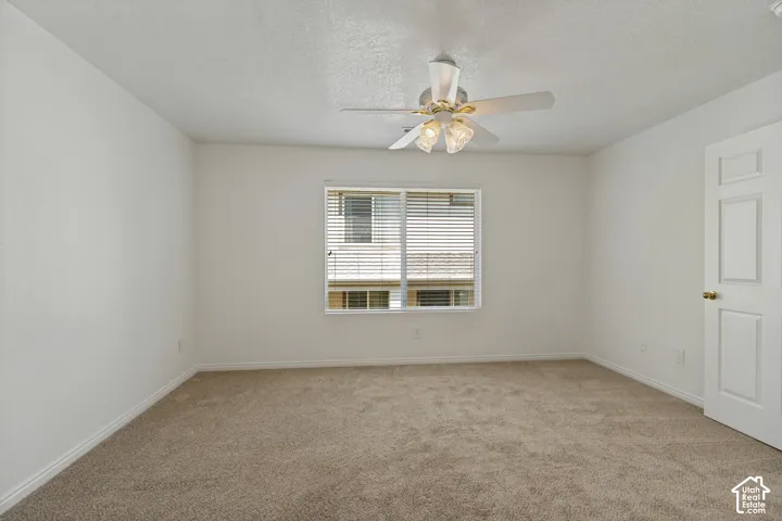 Neutral wall paint, plush carpet, window with horizontal blinds, overhead ceiling fan with lighting, and white paneled door