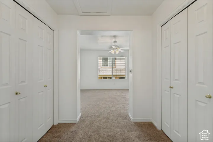 Plush carpet flooring, white bi-fold closet doors, brass door hardware, white window blinds, and a ceiling fan with integrated lighting