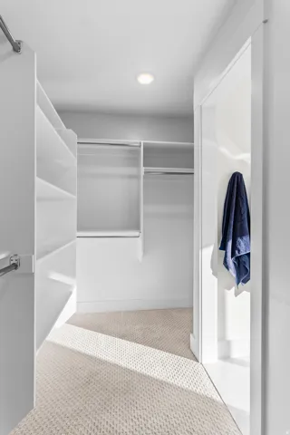 Walk-in closet with recessed lighting, built-in shelving, and carpeted flooring