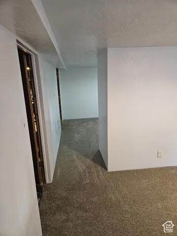 Plush carpet flooring throughout