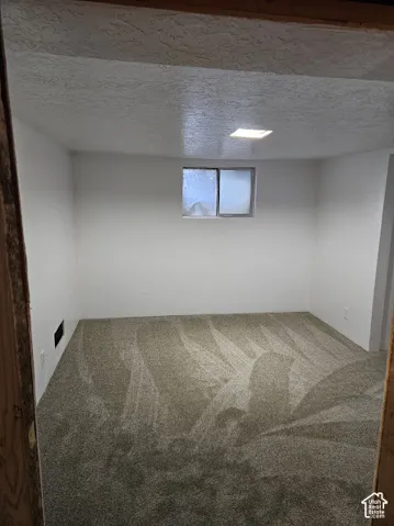 Plush carpeting, neutral wall tones, textured ceiling, and recessed lighting