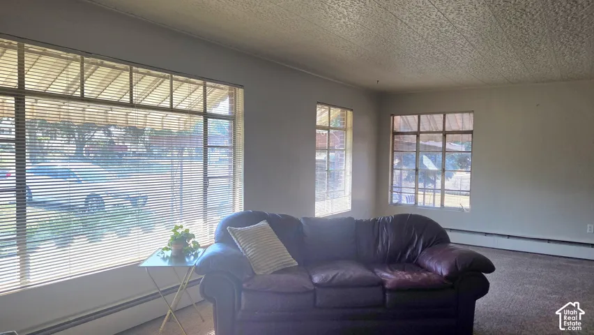 Multiple windows with horizontal blinds, textured ceiling, and wall-to-wall carpeting