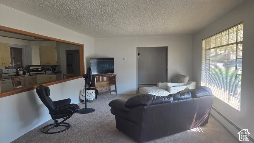 Wall-to-wall carpeting with a textured ceiling, a large window with horizontal blinds, and a pass-through opening to the kitchen