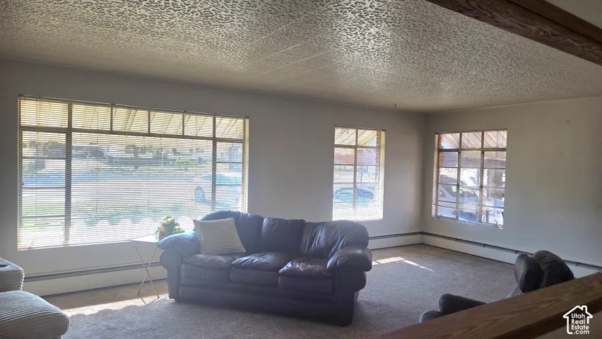 Spacious room featuring multiple windows, carpeted flooring, and a textured ceiling