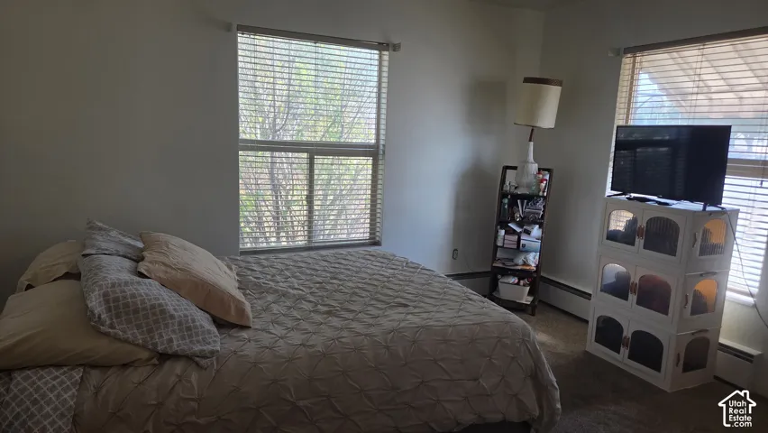 Master bedroom with dual windows featuring blinds, neutral wall finishes, and carpeted flooring