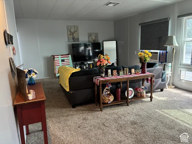 Light gray wall panels, textured carpet flooring, and white trim windows with roller shades