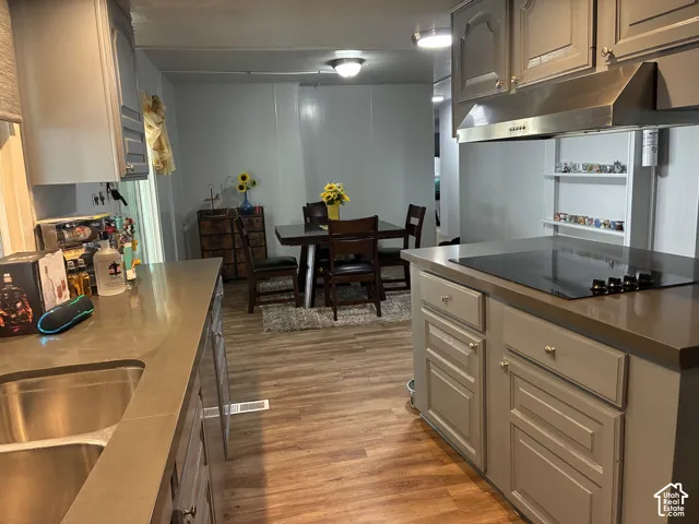 Modern kitchen with light gray cabinetry, solid surface countertops, a stainless steel sink, and wood-finish flooring