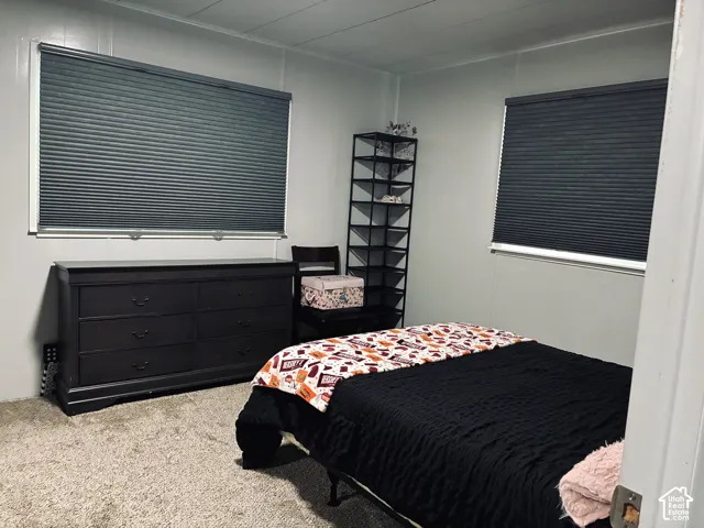 Textured wall panels, two windows with pleated blinds, and soft carpet flooring