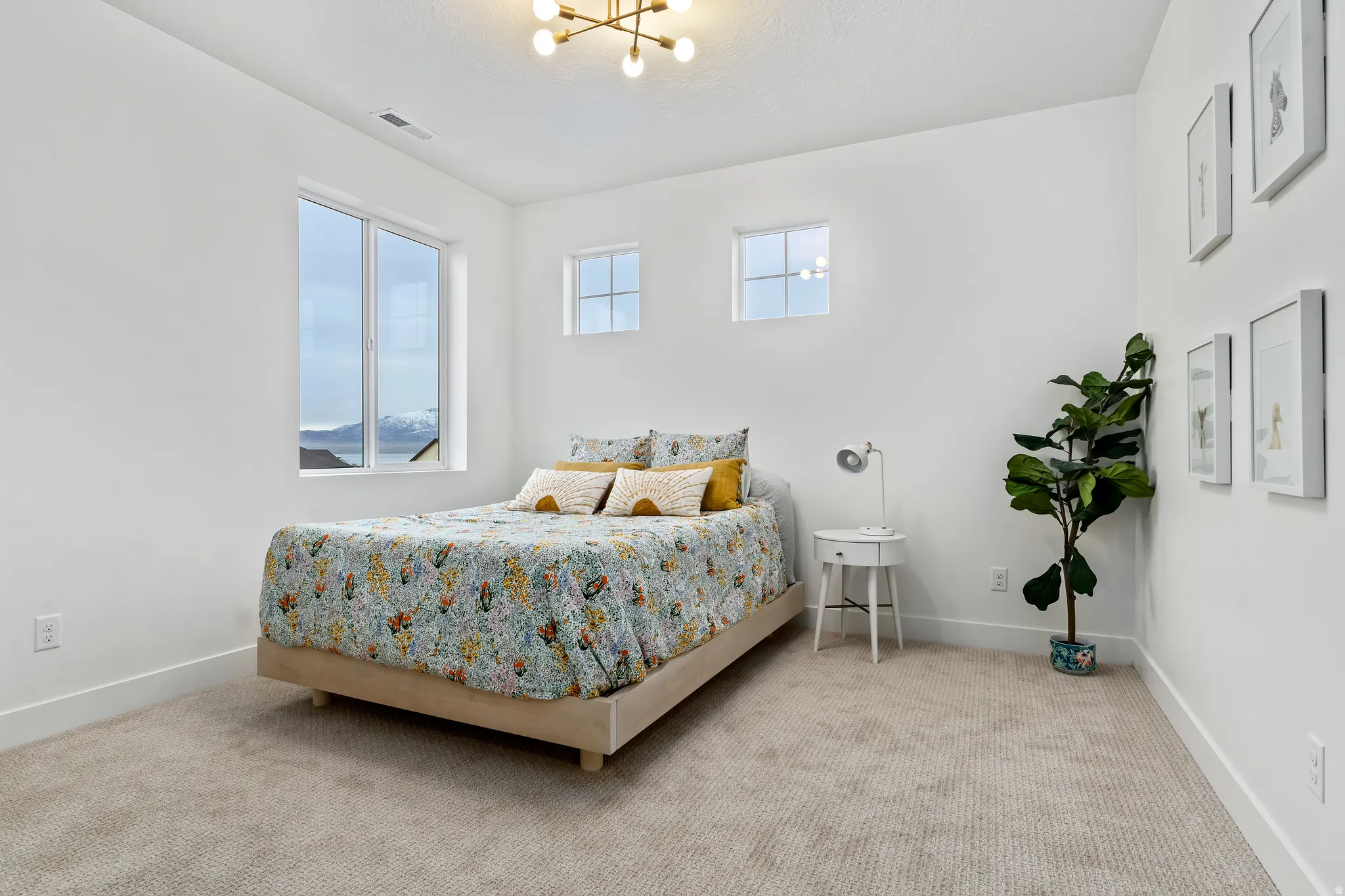 Plush carpeting, bright white walls, and multiple windows allowing for abundant natural light