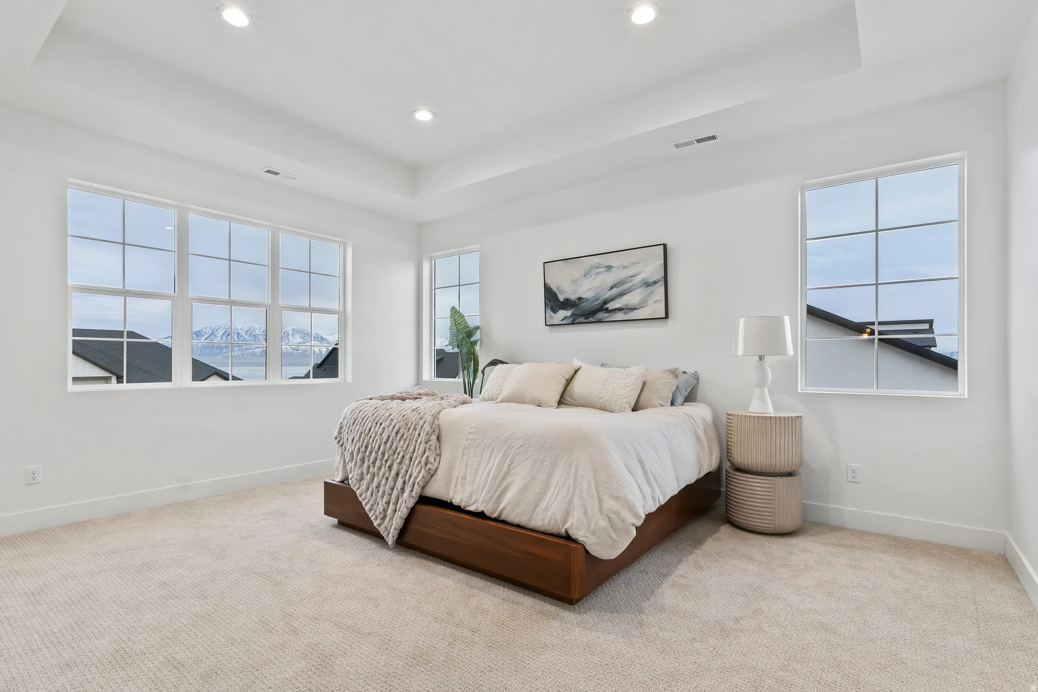 Recessed lighting, tray ceiling, expansive grid windows, and neutral carpeting