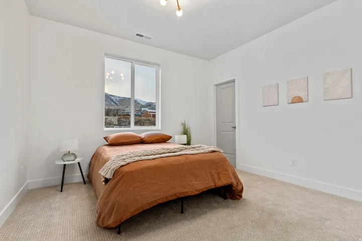 Carpeted flooring, single window, white walls, ceiling-mounted light fixture, interior door