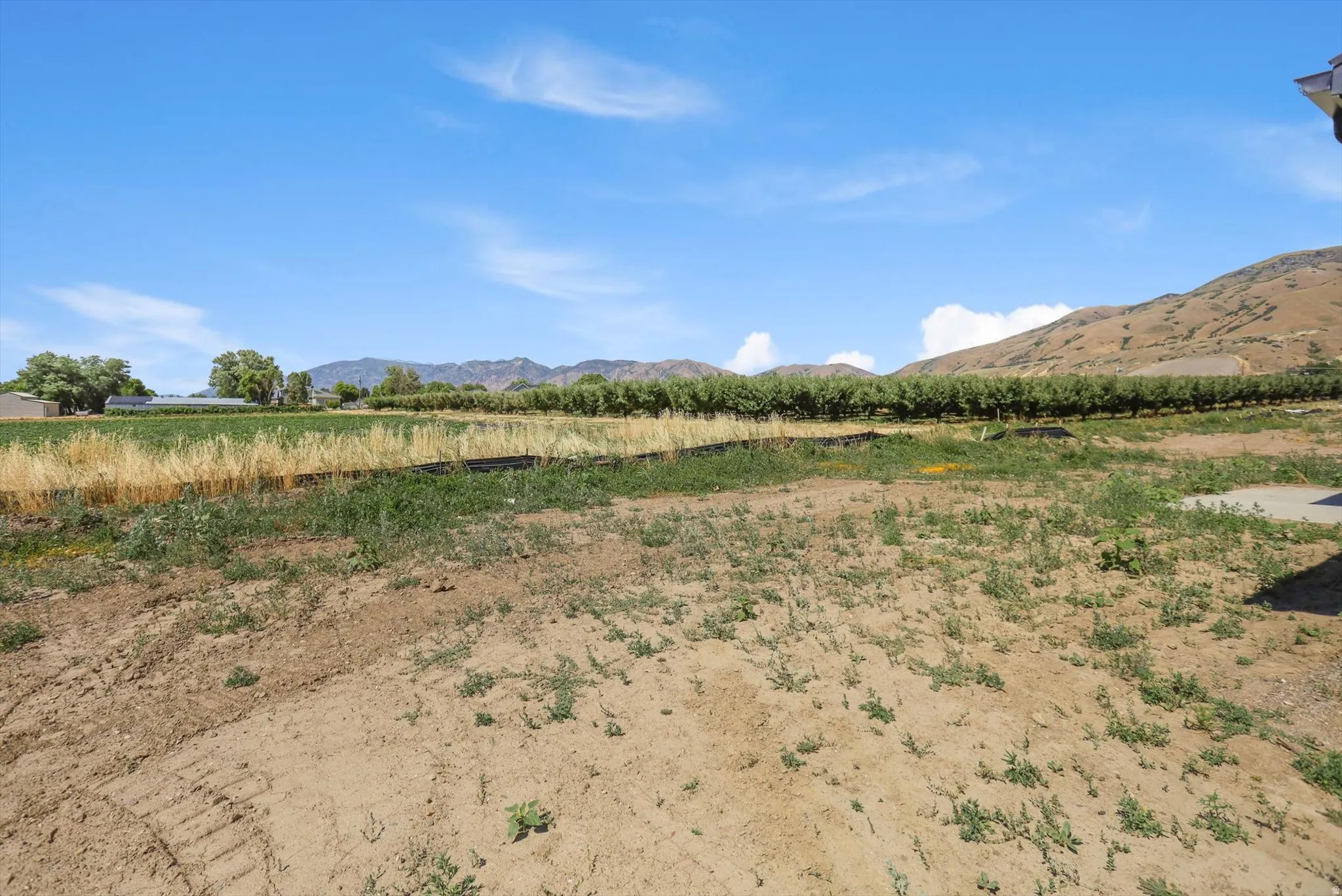 Expansive undeveloped land with a distant mountain backdrop