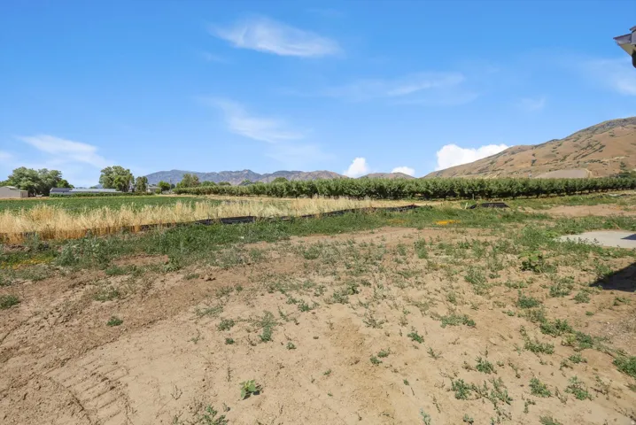 Expansive undeveloped land with a distant mountain backdrop