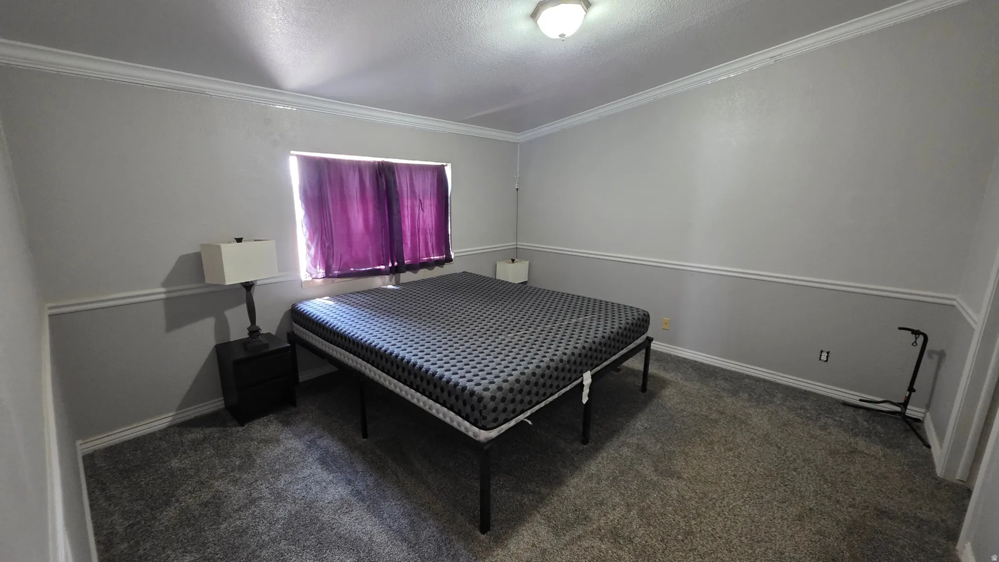 Wall-to-wall carpeting with painted walls and crown molding
