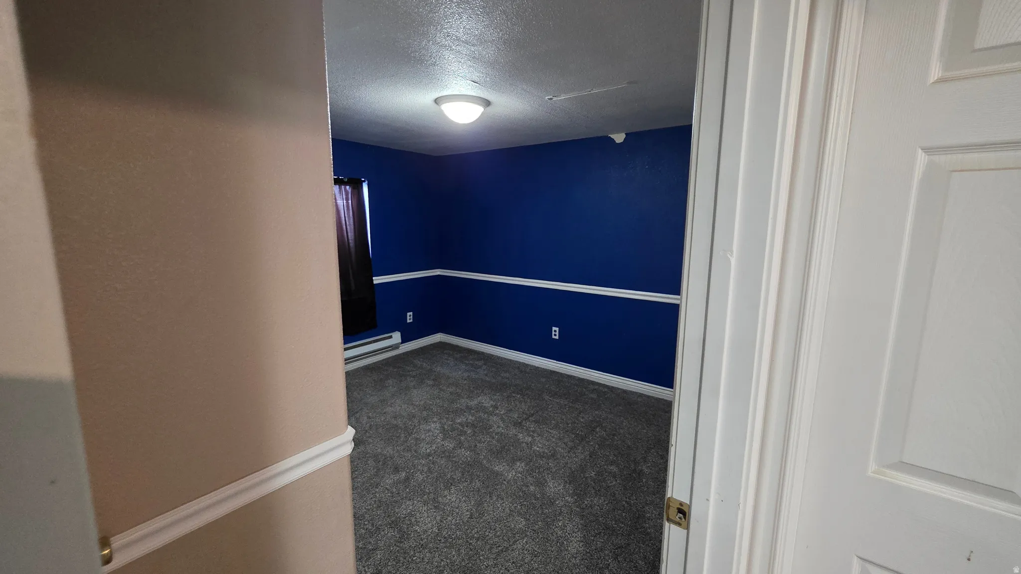 Carpeted flooring, deep blue wall paint, white chair rail molding, and a flush mount ceiling light fixture