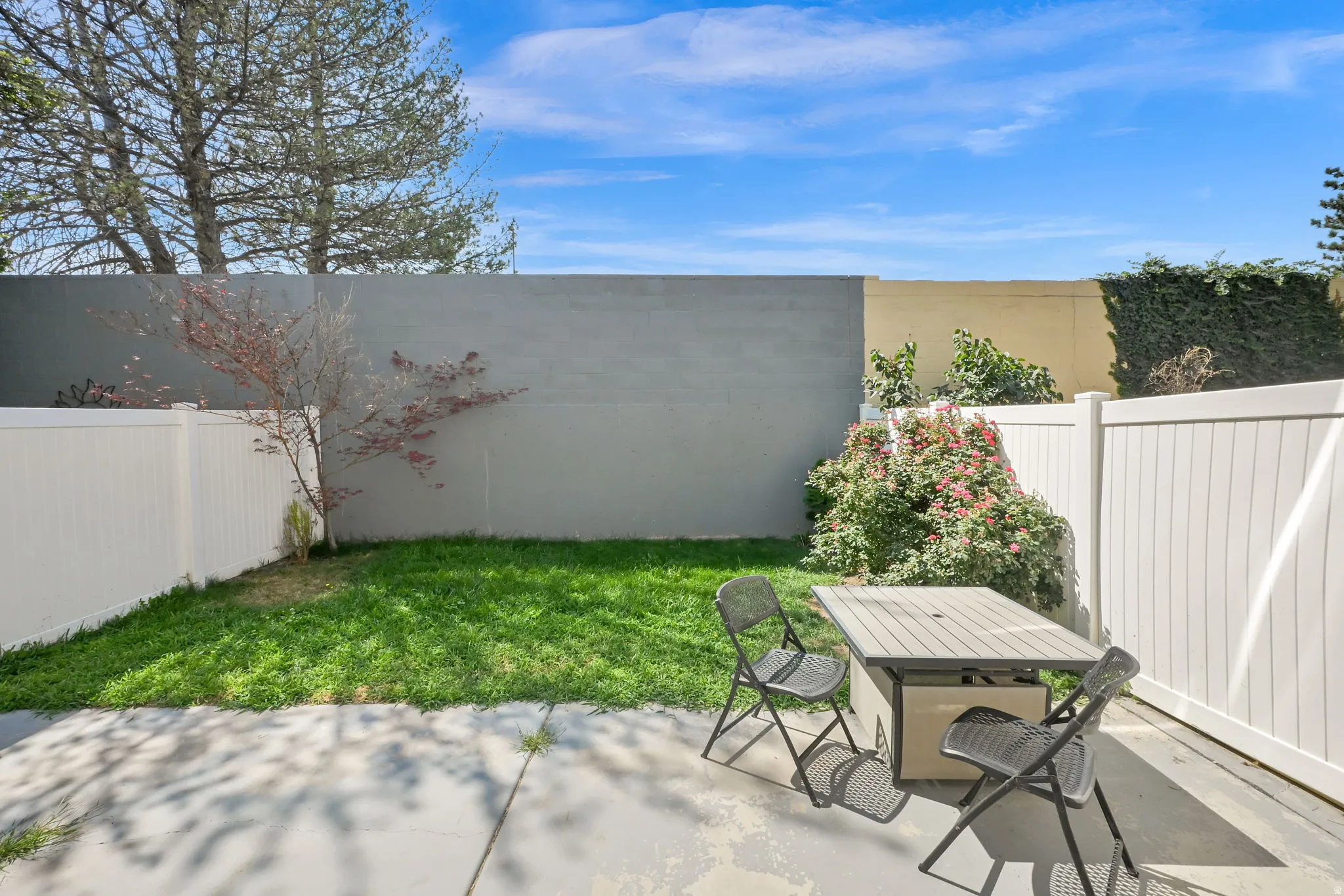 Private outdoor space with concrete patio and green lawn