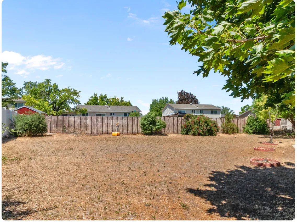 Expansive backyard featuring a wood fence, mature trees, and a clear sky