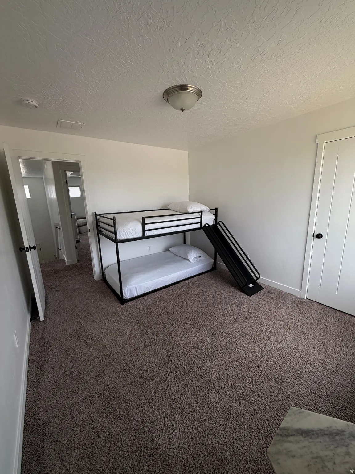 Plush carpet flooring, neutral wall tones, and overhead flush-mount lighting