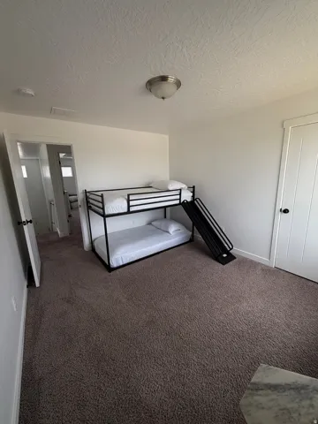Plush carpet flooring, neutral wall tones, and overhead flush-mount lighting