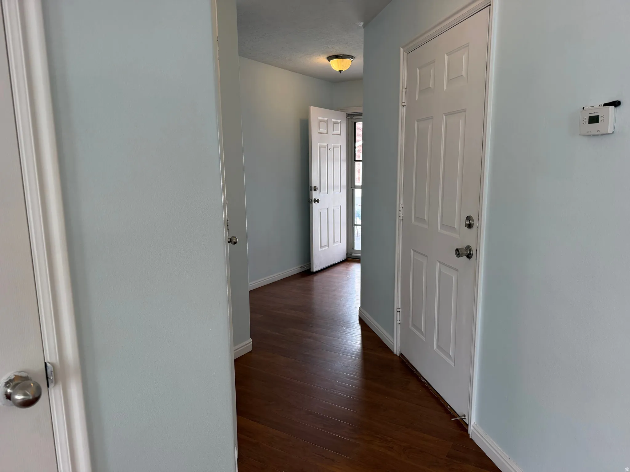 Wood-finish flooring throughout, white trim, and light blue wall color