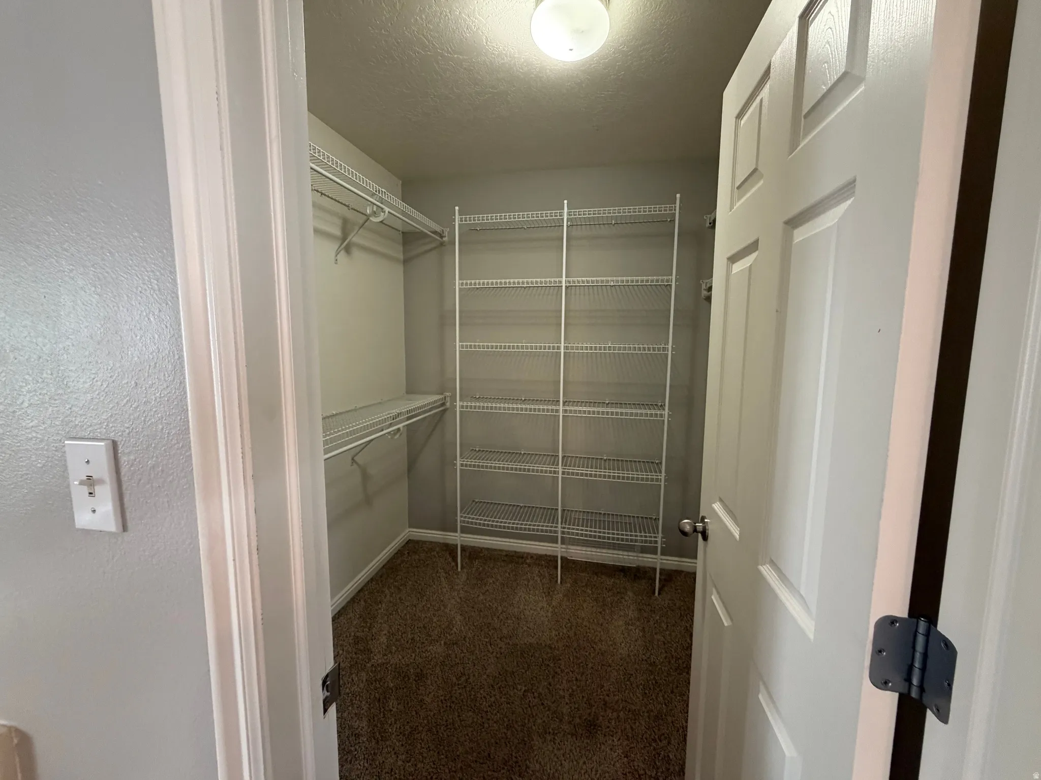 Walk-in closet with wire shelving system and overhead lighting