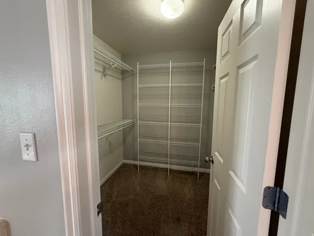 Walk-in closet with wire shelving system and overhead lighting