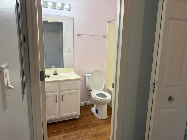 Bathroom featuring wood-finish flooring, a white vanity with integrated sink, and a wall-mounted light fixture