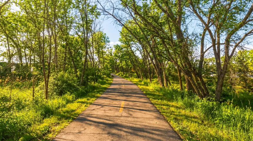 Paved pathway bordered by mature trees and lush greenery