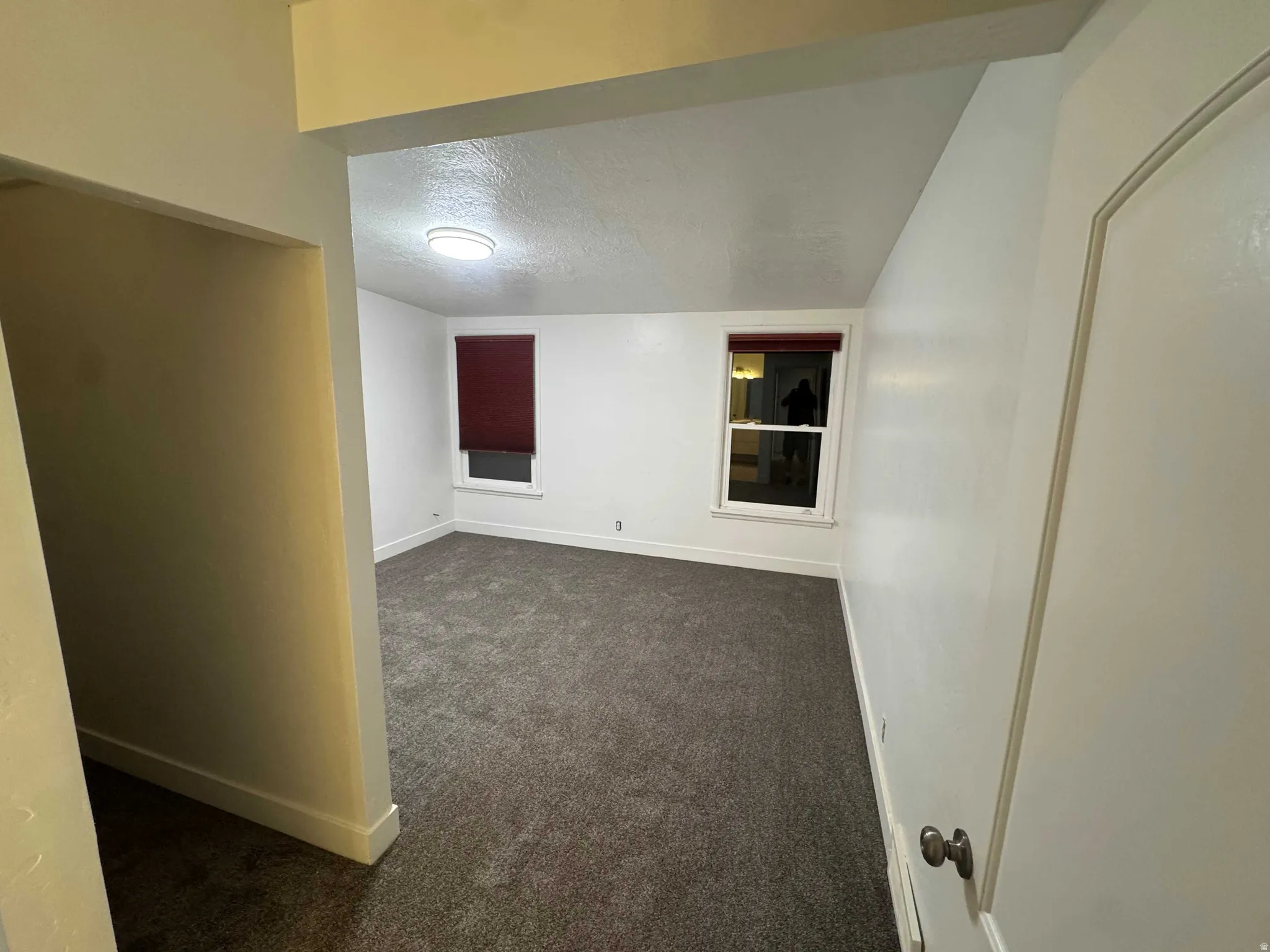 Recessed lighting, carpeted flooring, and two windows with blinds