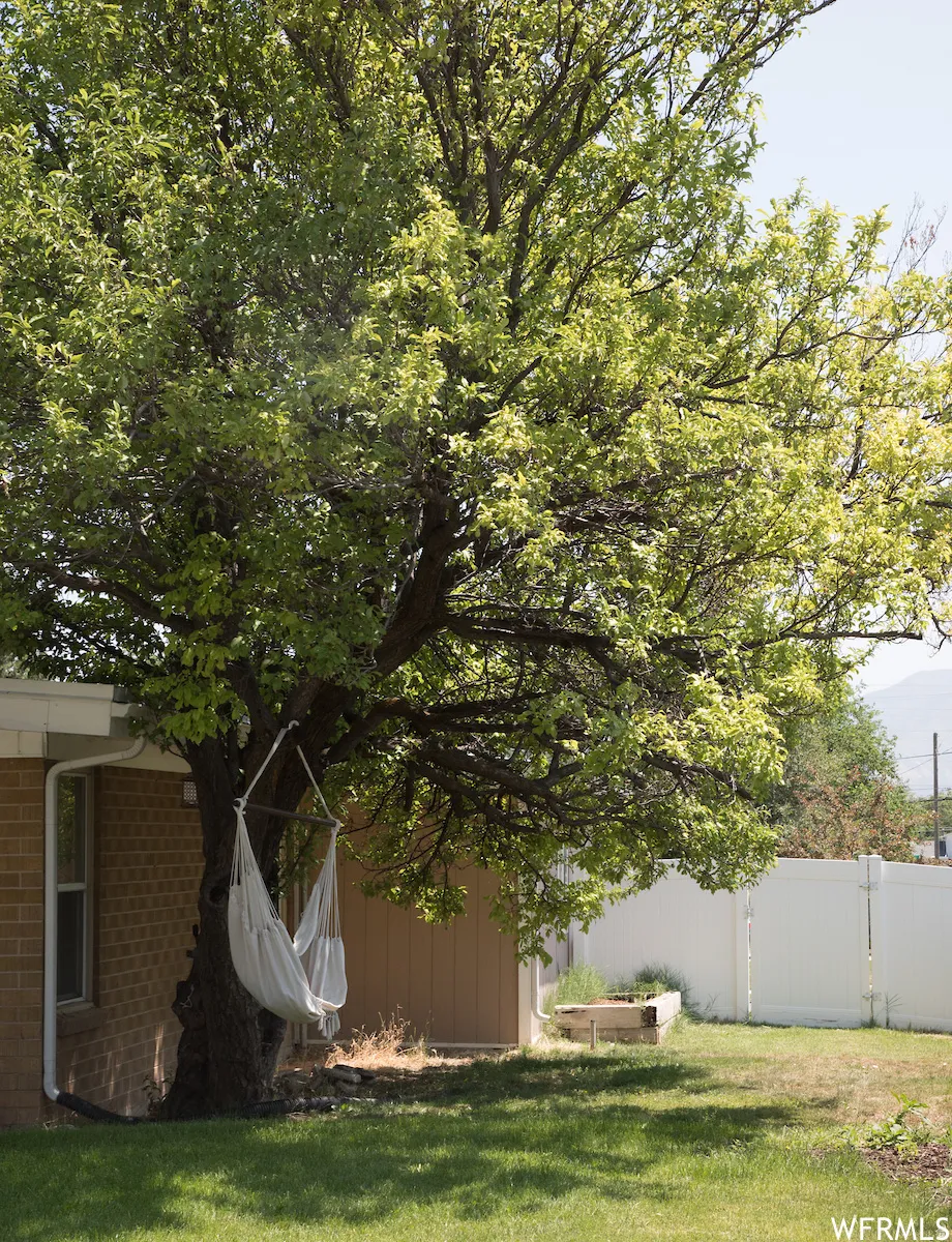 Expansive backyard featuring a large mature tree, green lawn, brick exterior, and a white privacy fence