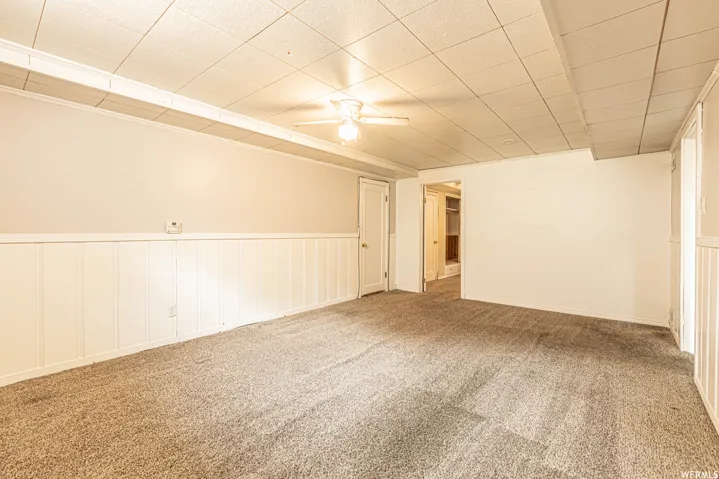 Carpeted flooring with wainscoting, a drop ceiling, and a ceiling fan with light fixture