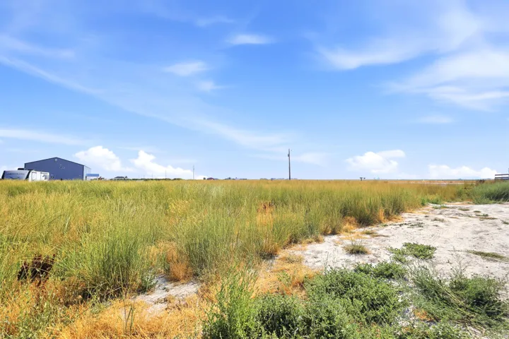 Expansive land parcel featuring natural grasses and a clear sky