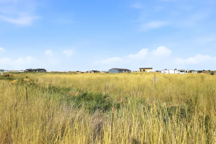 Expansive open field with natural vegetation