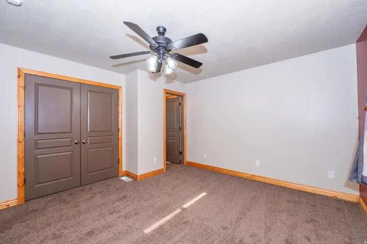 Brown carpet flooring, dark brown paneled doors, natural wood trim, and a ceiling fan with integrated lighting