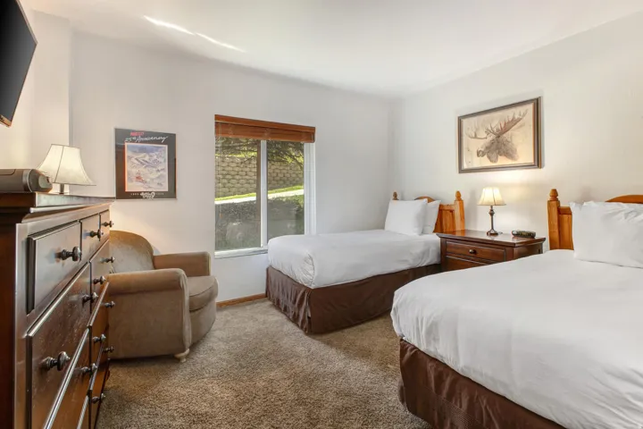 Carpeted room featuring two single beds with coordinating dark wood bed frames and nightstands