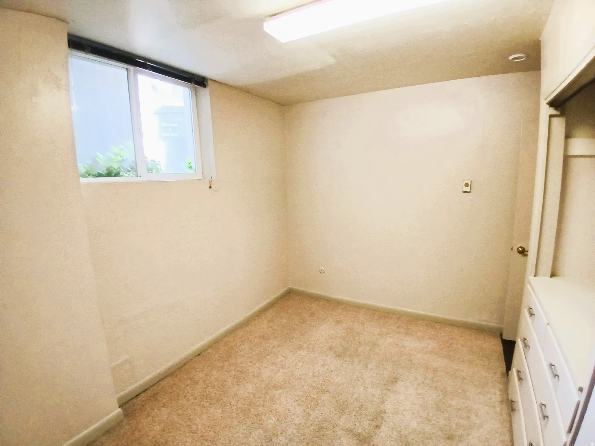 Carpeted flooring with a white-framed window