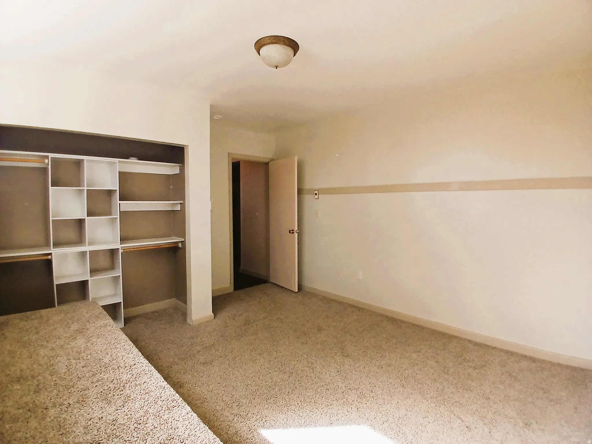 Wall-to-wall carpeting, built-in closet organizers, built-in shelving, flush mount ceiling light, and neutral wall tones