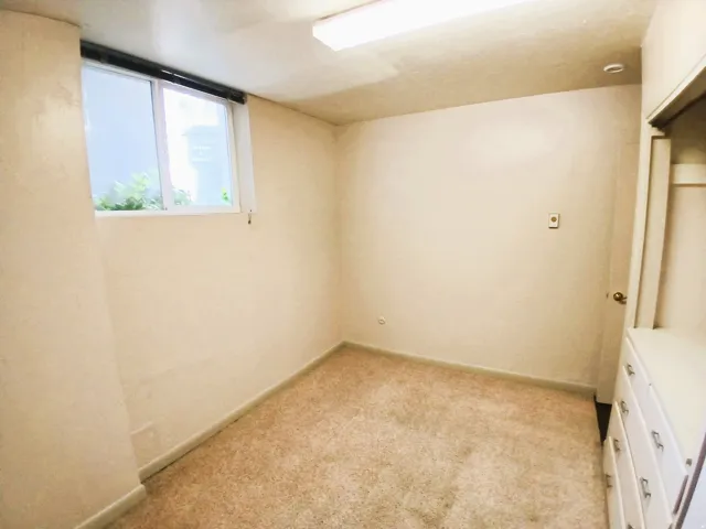 Carpeted flooring with a white-framed window