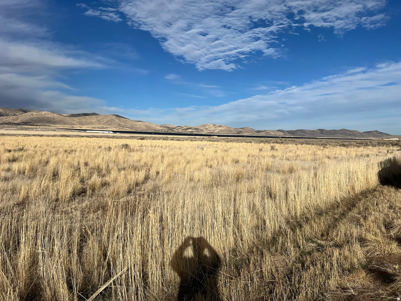 Expansive open terrain featuring natural grasses and distant mountain ranges