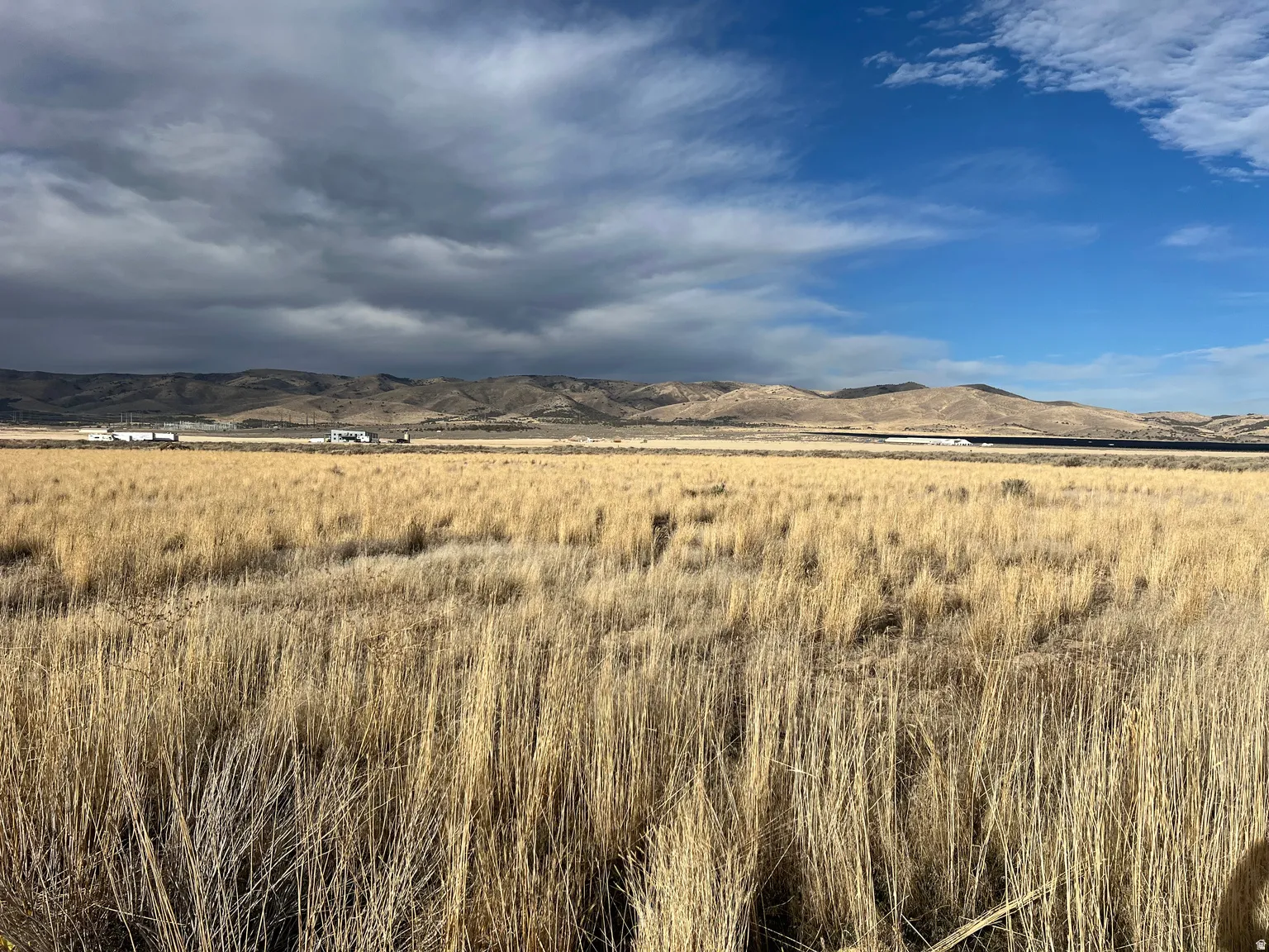 Expansive field with golden grasses, distant mountain range, and a partial blue sky