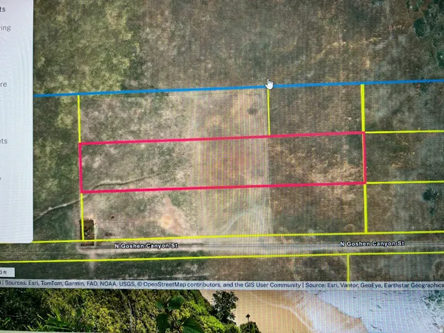 GIS Map. Highlighting the boundaries of the property and its orientation to N Goshen Canyon St