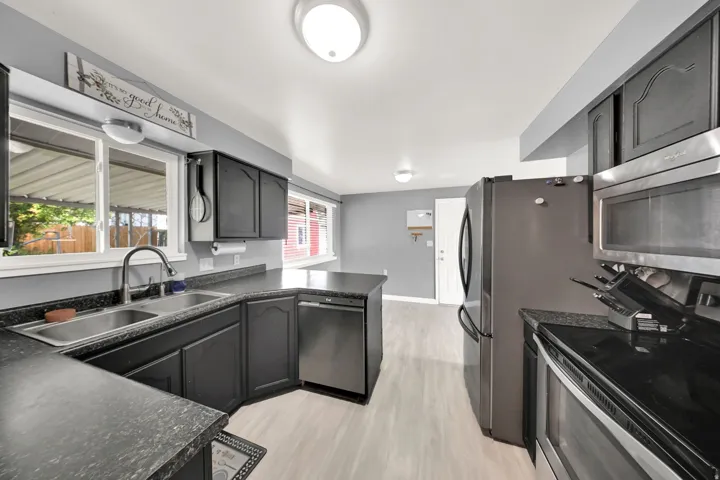 Kitchen featuring dark cabinetry, dark speckled countertops, stainless steel appliances, and light wood-finish flooring
