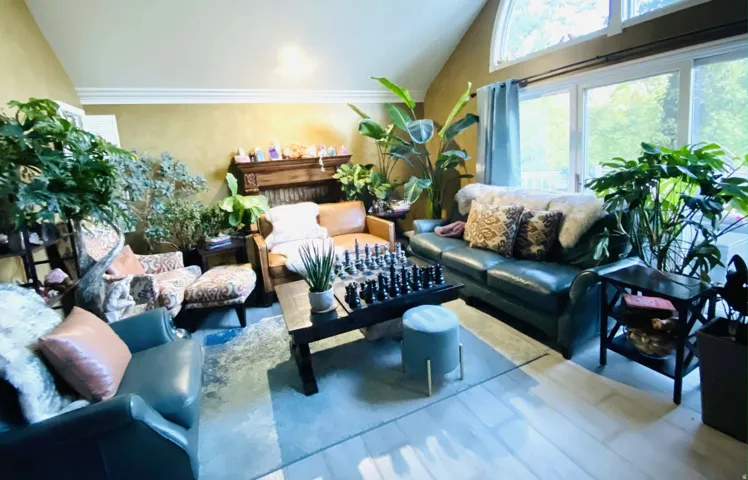 Vaulted ceiling with crown molding, light wood-finish flooring, large sliding glass doors, and an arched transom window